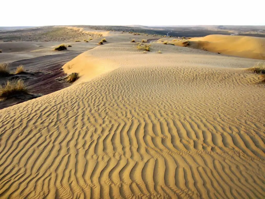 Karakum Desert